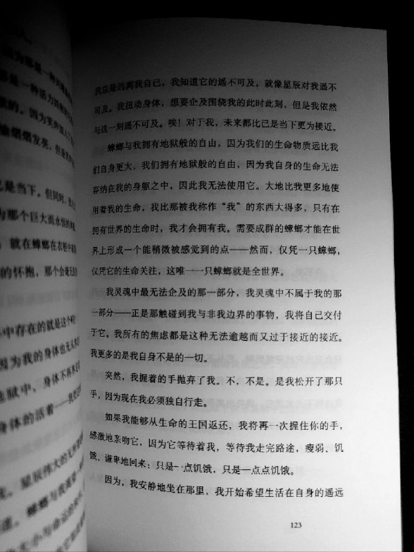 C.L.是最接近我的...从星辰时刻开始，我就一直迷恋，迷恋她，也因为她，尽管艰难困苦，我没有放弃爱，和写作，的企图