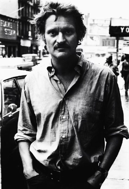 ㅤ偶然看到阿什贝利的这张照片，让一切不合理稍显合理