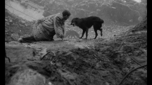 ㅤ▎贝拉·塔尔 Béla Tarr 三部癡漢地獄来自伦敦的男人 The Man from London (2007)A.Londoni.ferfi.AKA.The.Man.from.London.2007.1080p.AMZN.WEB-DL.DD+2.0.x264-Cinefeel时长：2小时19分视频：1080P，1920x1080，23.976FPS，12.3Mb/s音频：英法原声，224kbps E-AC3字幕：（法语部分）英文硬字幕片源：AMAZON WEB-DL大小：12.1G正片非自压，感谢Cinefeel====================================诅咒 Damnation (1988)Damnation.1988.SUBBED.1080p.WEB-DL.AAC2.0.x264时长：2小时01分视频：1080P，1920x1080，24FPS，4.8Mb/s音频：匈牙利原声，253kbps AAC字幕：英文硬字幕片源：Vimeo WEB-DL大小：4.31G正片非自压，感谢TheOldSchool====================================电影马克思主义 Cinemarxisme (1979)Cinemarxisme (Tarr Béla, 1979)时长：33分视频：1080P，1920x1080，24FPS，5.4Mb/s音频：匈牙利原声，253kbps AAC字幕：英文软字幕由jatiswar提供片源：Vimeo WEB-DL大小：1.31G正片非自压，感谢barl1992====================================